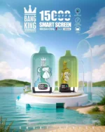 BANG KING 15000 Puffs Disposable Vape The Vape Your Customers Will Love