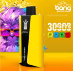 BANG KING 30000 Puffs PRO Bulk Discounts on the Best Disposable Vape Pen