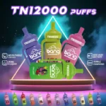 BANG TN 12000 Puffs Wholesale Disposable Vape Top Seller Fast Shipping Across Europe