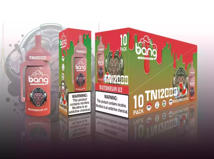BANG TN 12000 Puffs Wholesale Disposable Vape Top Seller Fast Shipping Across Europe