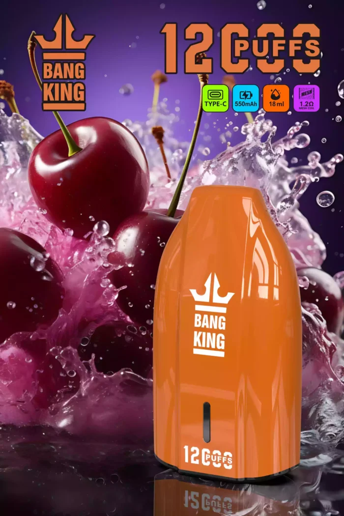 Bang King 12000 Puffs Rechargeable Refreshing and Ready to Go