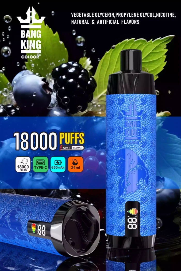 Bang King 18000 Puffs Disposable Vape A Long Lasting Vape for Every Vaper