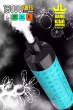 Bang King 18000 Puffs Disposable Vape A Long Lasting Vape for Every Vaper