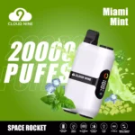 CLOUD NINE D33 20000 Puffs – Premium Flavor Massive Puffs