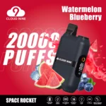 CLOUD NINE D33 20000 Puffs – Premium Flavor Massive Puffs