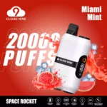 CLOUD NINE D33 20000 Puffs – Premium Flavor Massive Puffs