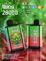 Enjoy Fresh Flavors All Day with Bang28000 Puffs Disposable Vape