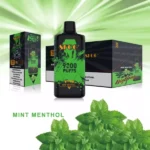 Sfog Big Bang 9000 Puffs Perfect for Retailers Wholesale Disposable Vapes in Bulk!