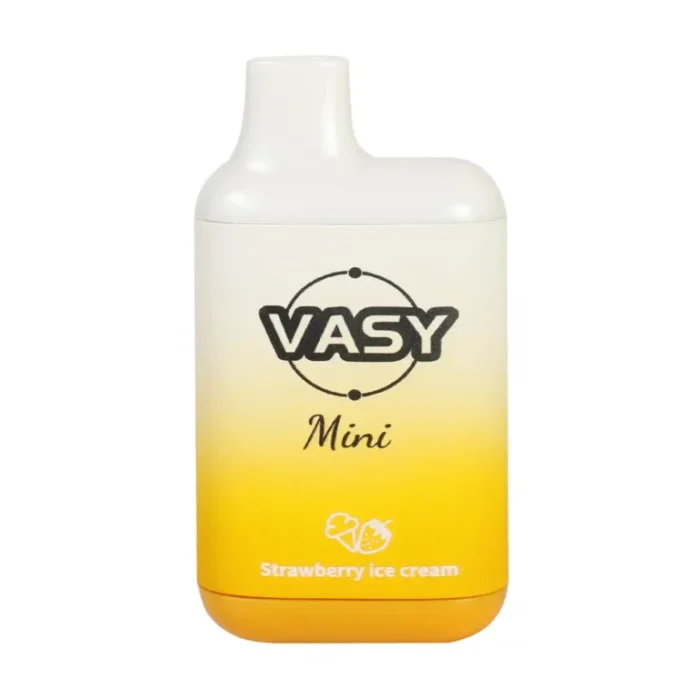 VASY Mini 600 Puffs Disposable Vape 15 Irresistible Flavors to Choose From