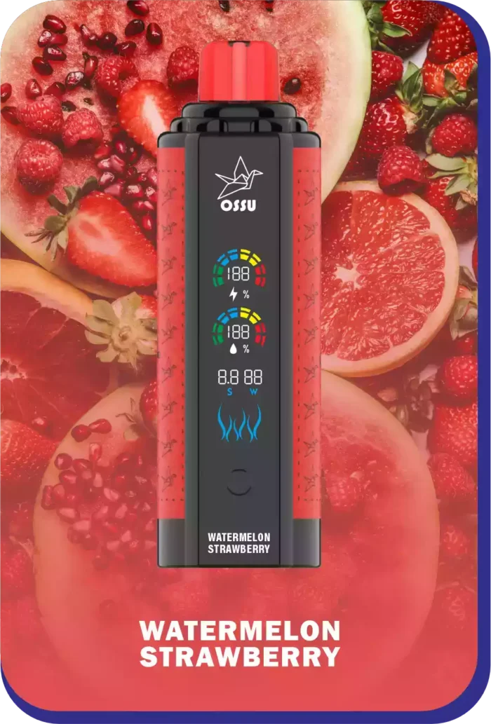 VASY OSSU 30000 Puffs Ideal Wholesale Vape for Flavor Lovers