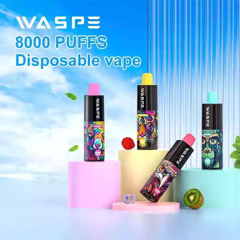 WASPE 8000 Puffs Premium Vaping Experience Affordable Price