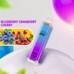 ANU Crystal 10000 Puffs Disposable Vape High Performance with Mesh Coil