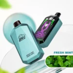 ANU Star 30000 Puffs Disposable Vape Ultimate Performance with Mesh Coil
