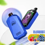 ANU Star 30000 Puffs Disposable Vape Ultimate Performance with Mesh Coil