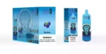 BUG 03 Without Screen 12000 Puffs Disposable Vape 16mL E-Liquid 800mAh Battery Mesh Coil 2% Nicotine