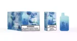BUG 04 BC5000 Puffs Disposable Vape 12mL E-Liquid 500mAh Battery Mesh Coil 2% Nicotine