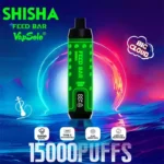 Vapsolo Shisha 15000 Puffs Disposable Vape Long-Lasting Flavorful Vaping Experience