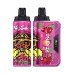 Vapsolo Viking 12000 Puffs Disposable Vape Unleash the Ultimate Vaping Experience