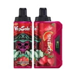 Vapsolo Viking 12000 Puffs Disposable Vape Unleash the Ultimate Vaping Experience