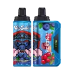 Vapsolo Viking 12000 Puffs Disposable Vape Unleash the Ultimate Vaping Experience