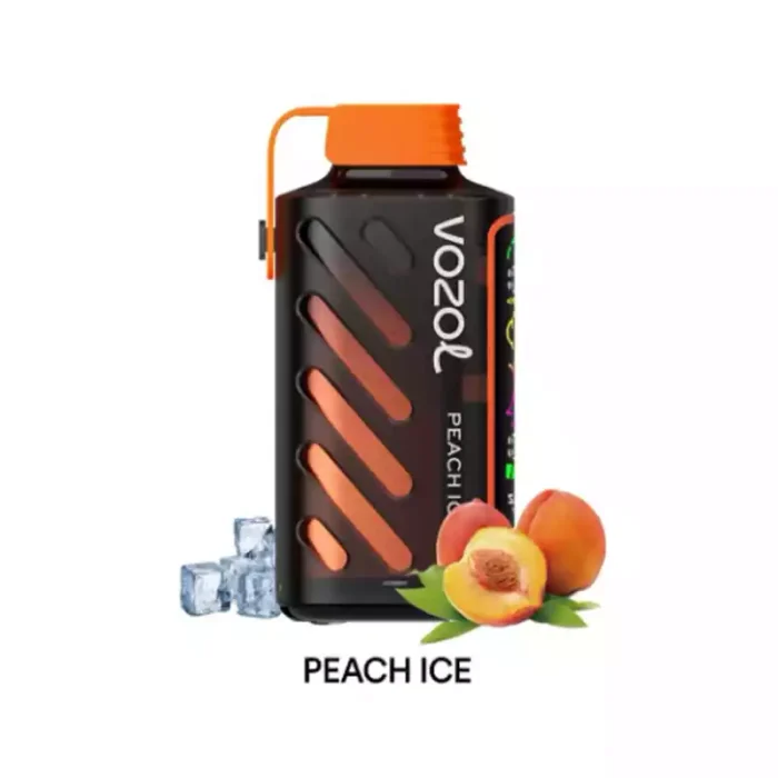 Vozol Gear Power 20000 Puffs Recharge Quickly with Type-C Charging for Minimal Downtime!