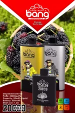 BANG 20000 Puffs DSK046 B20HD Disposable Vape Powerful & Flavorful