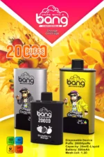 BANG 20000 Puffs DSK046 B20HD Disposable Vape Powerful & Flavorful