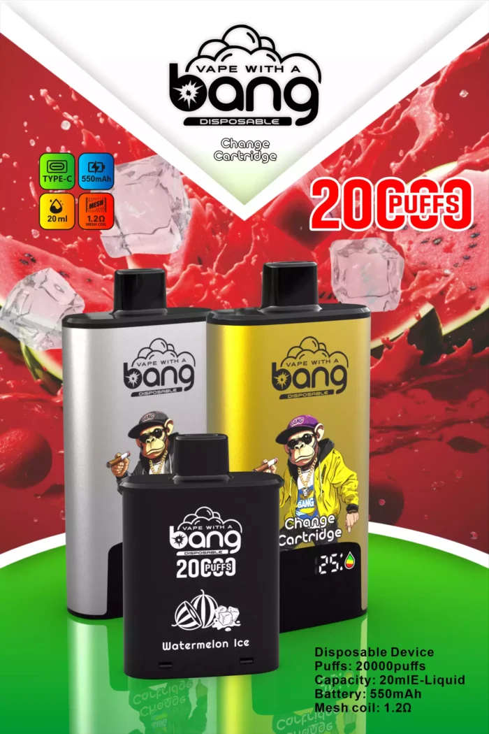 BANG 20000 Puffs DSK046 B20HD Disposable Vape Powerful & Flavorful