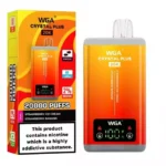 WGA 20000 Puffs Disposable Vape Dual Mesh Coil