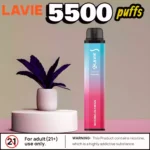 Lavie Ghost Pro 5500 Puffs Disposable Vape with 12 Flavours