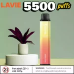 Lavie Ghost Pro 5500 Puffs Disposable Vape with 12 Flavours