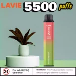 Lavie Ghost Pro 5500 Puffs Disposable Vape with 12 Flavours
