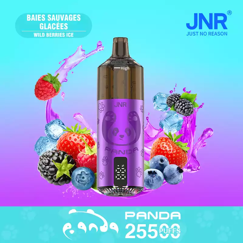 JNR Panda 25500 Puffs Disposable Vape Smart Screen Pod Kit