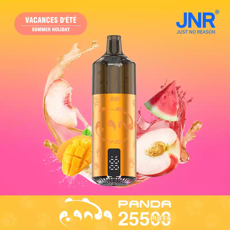 JNR Panda 25500 Puffs Disposable Vape Smart Screen Pod Kit