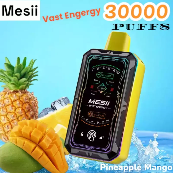 Mesii Vast Engergy 30000 Puffs Disposable Vape with Screen