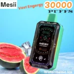 Mesii Vast Engergy 30000 Puffs Disposable Vape with Screen