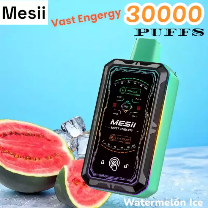 Mesii Vast Engergy 30000 Puffs Disposable Vape with Screen