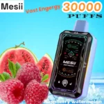 Mesii Vast Engergy 30000 Puffs Disposable Vape with Screen