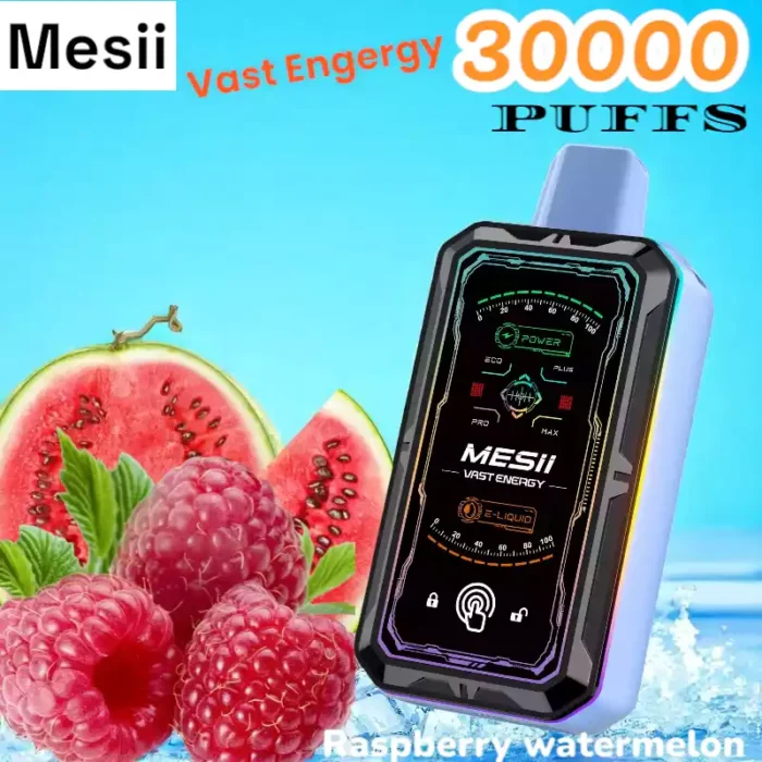 Mesii Vast Engergy 30000 Puffs Disposable Vape with Screen