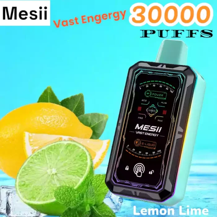 Mesii Vast Engergy 30000 Puffs Disposable Vape with Screen