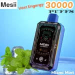 Mesii Vast Engergy 30000 Puffs Disposable Vape with Screen