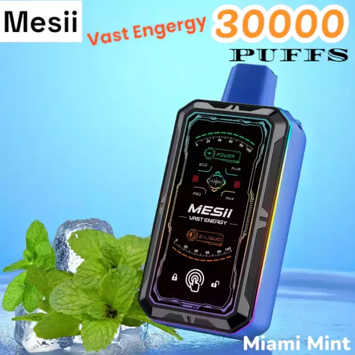 Mesii Vast Engergy 30000 Puffs Disposable Vape with Screen