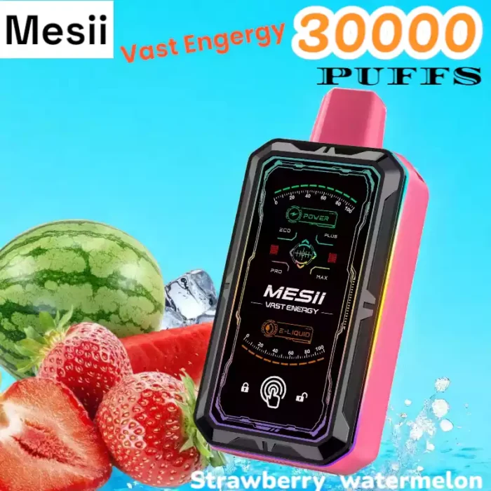 Mesii Vast Engergy 30000 Puffs Disposable Vape with Screen