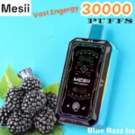 Mesii Vast Engergy 30000 Puffs Disposable Vape with Screen