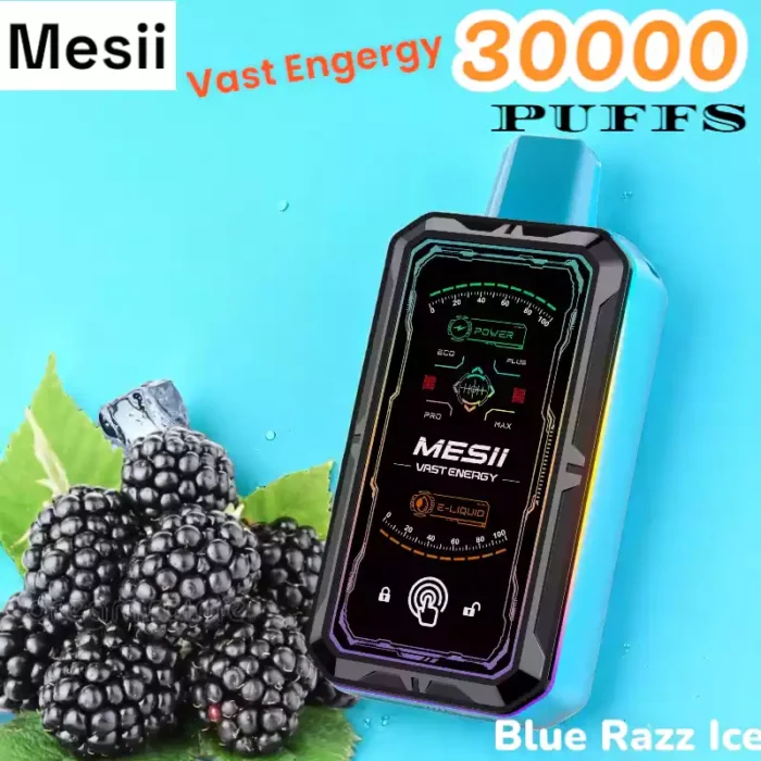 Mesii Vast Engergy 30000 Puffs Disposable Vape with Screen